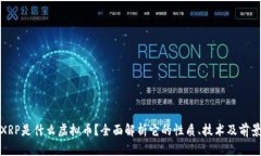 XRP是什么虚拟币？全面解析它的性质、技术及前