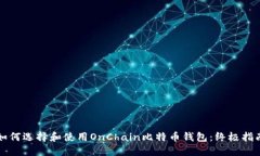 如何选择和使用OnChain比特币钱包：终极指南